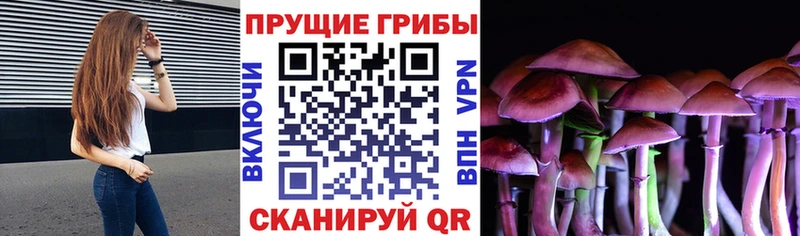 Галлюциногенные грибы мухоморы Купить закладки Приморск